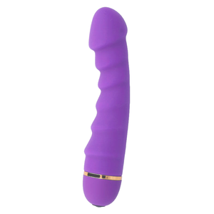 INTENSE - SALLY 20 VELOCIDADES SILICONE LILAC