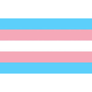 PRIDE - BANDEIRA TRANSEXUAL 90 X 150