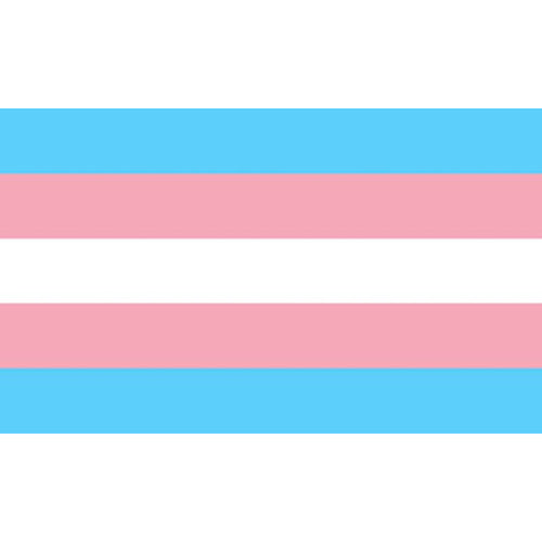 PRIDE - BANDEIRA TRANSEXUAL 90 X 150