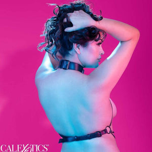 CALEXOTICS - EUPHORIA PLUS SIZE MULTI CHAIN COLLAR ARNÊS