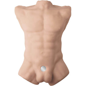 SILEXD - APOLLO L TORSO MASCULINO REALISTA