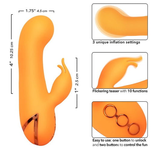 CALEXOTICS - MONTECITO MUSE VIBRADOR COELHO LARANJA POR CALIFORNIA DREAMING